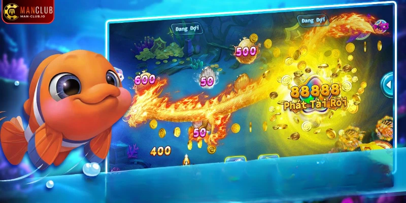 Top 4 chiến lược trở thành ngư dân chuyên nghiệp